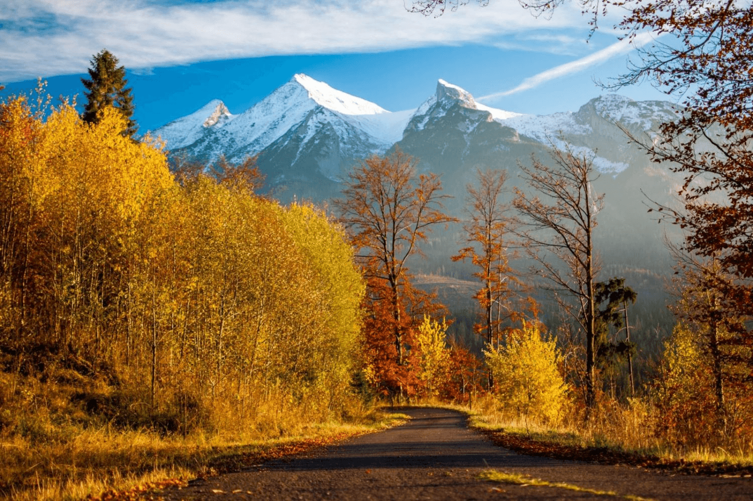 image-12-zute-15-mpx-1976-e-1585828935194-1742822049675-457457036.png