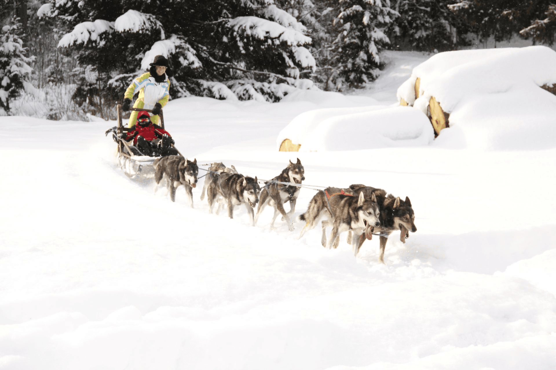 image-adventoura-3-1739177533255-853856890.png