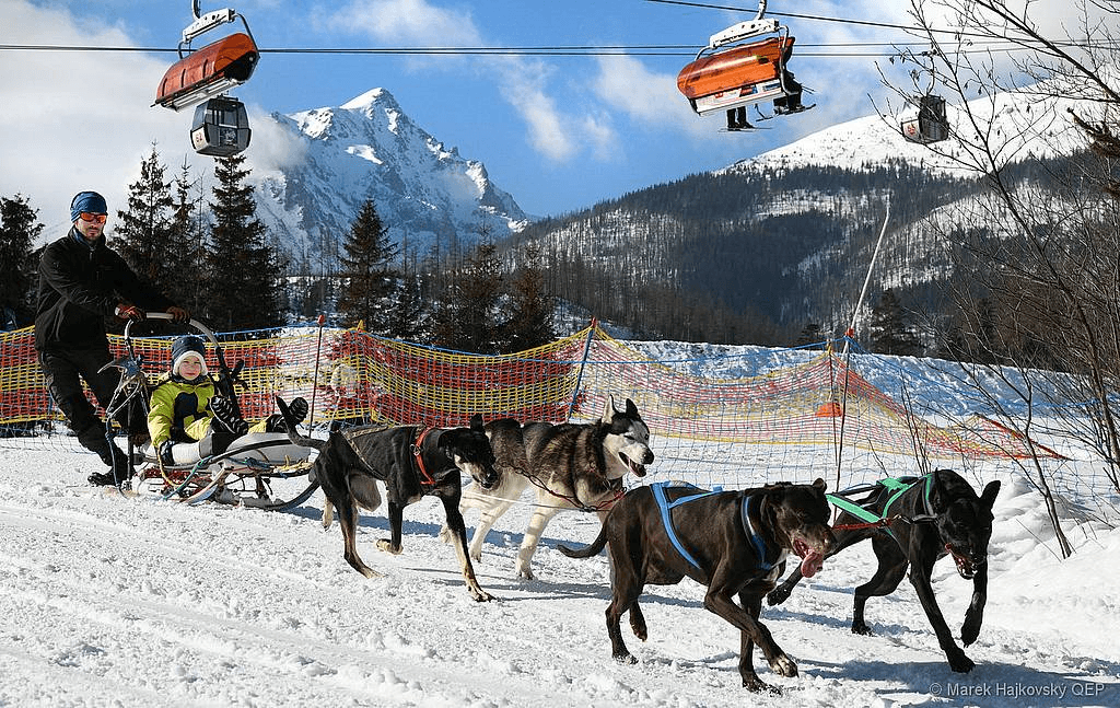 article-background-image