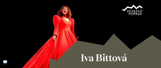 article-background-image