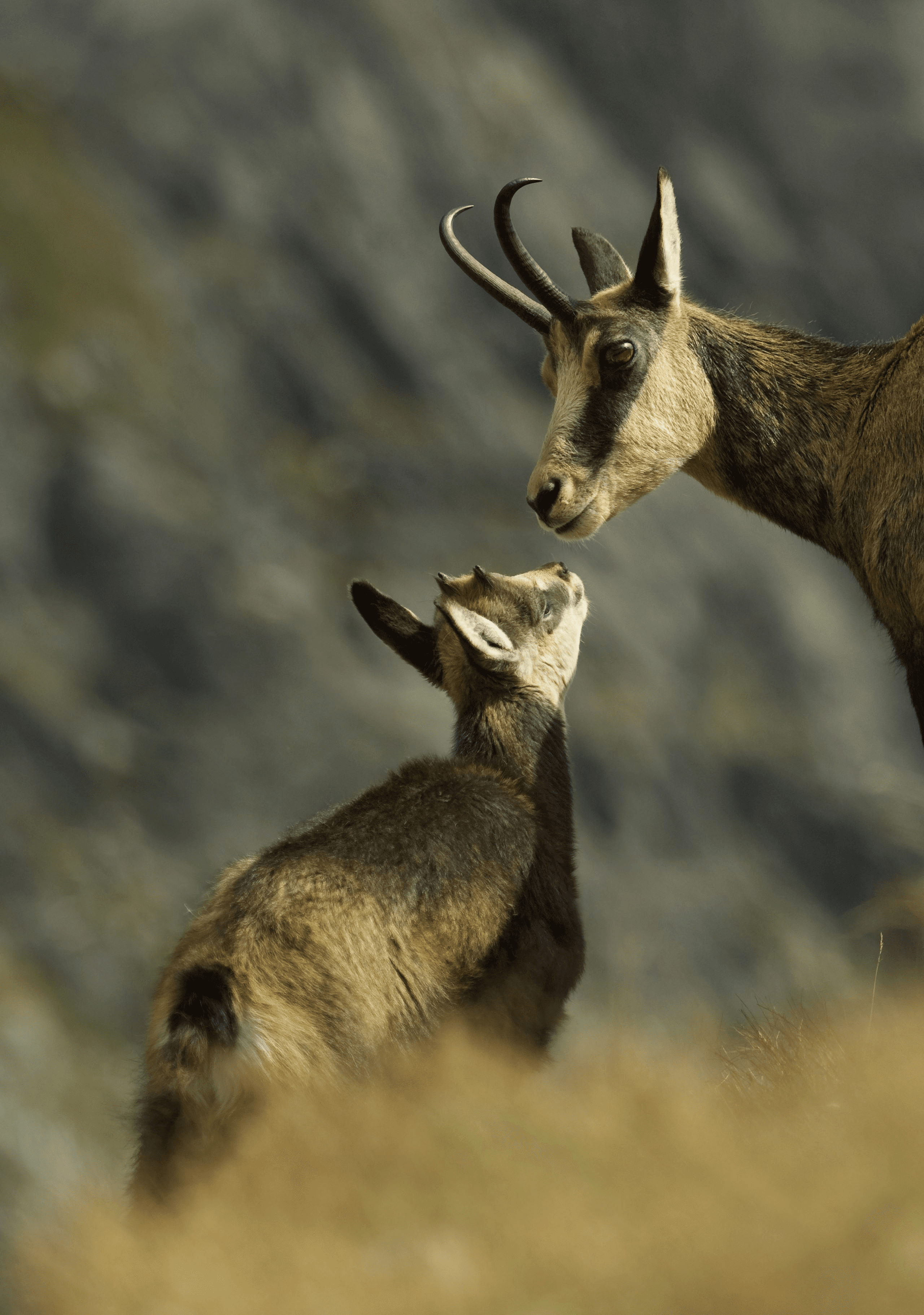 article-background-image