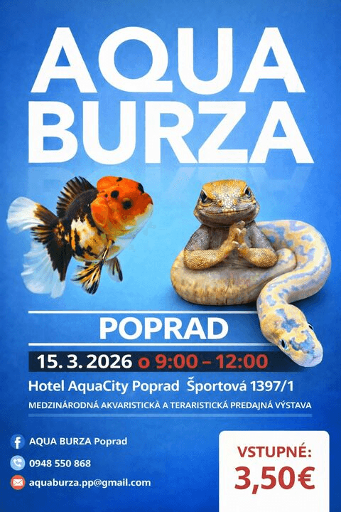 AQUA BURZA