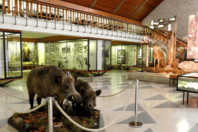 Museum of the Tatra National Park in Tatranská Lomnica