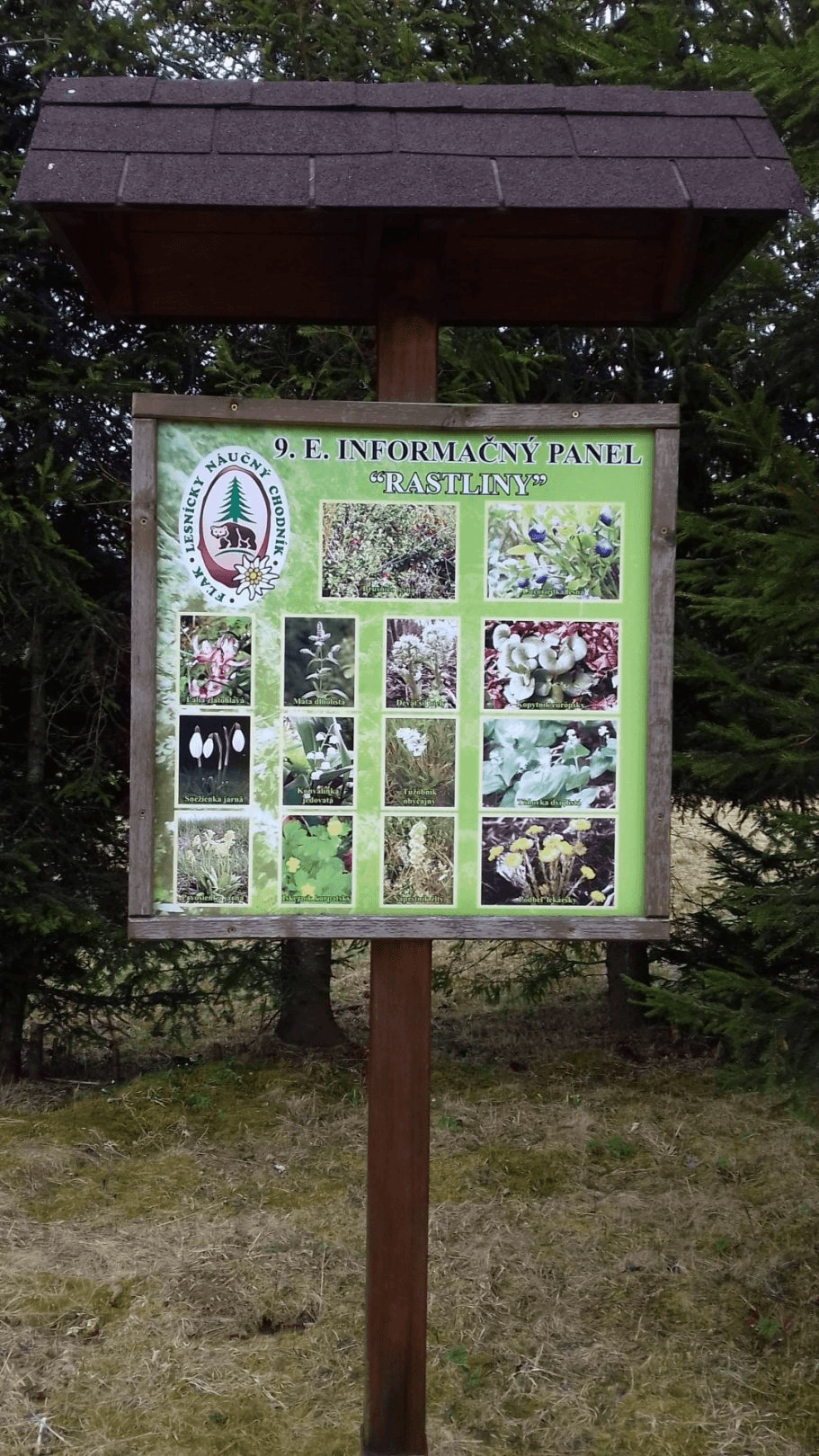 image-nch-flak-6-1746778090424-318602692.png