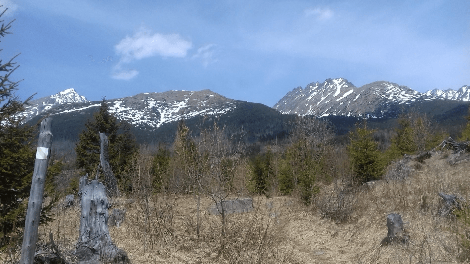 image-nch-rp-7-1746602250116-810673819.png