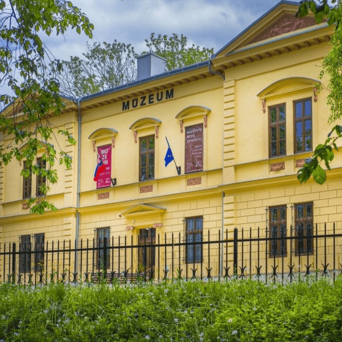 article-background-image