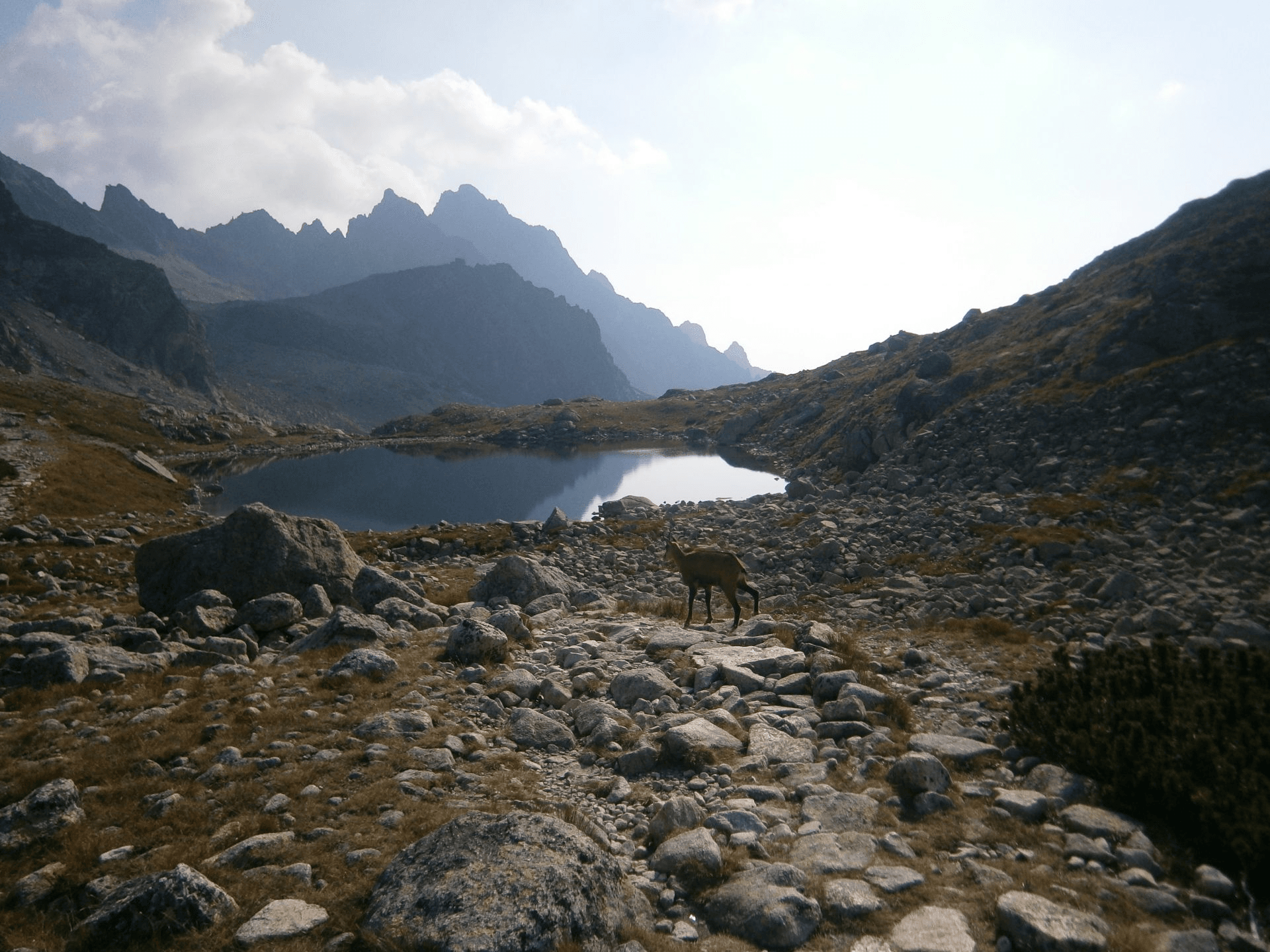 image-sestersk-a-pleso-1742905294711-997632946.png