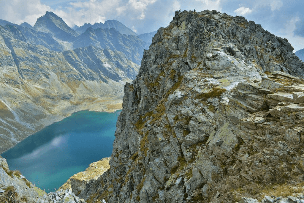 article-background-image