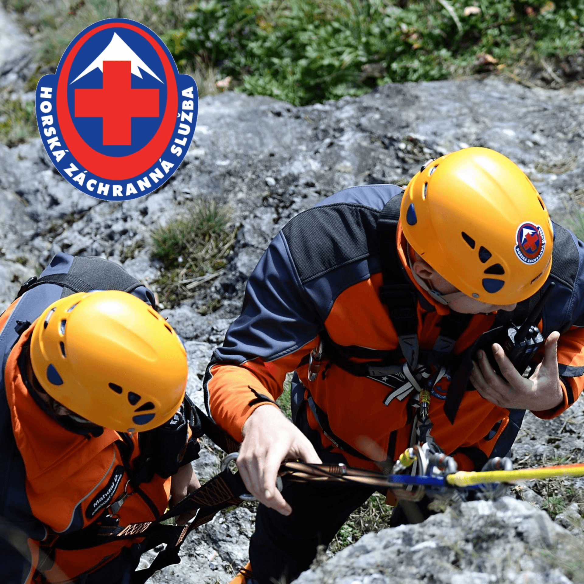 article-background-image