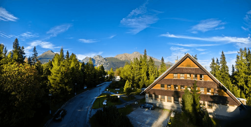 image-vila-kosodrevina-pleso-1738058308351-178137996.png