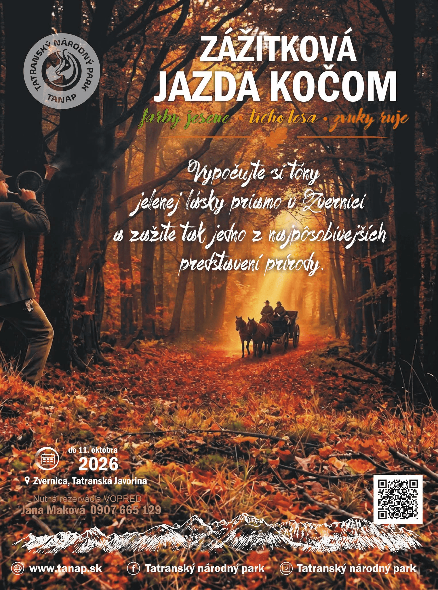 article-background-image