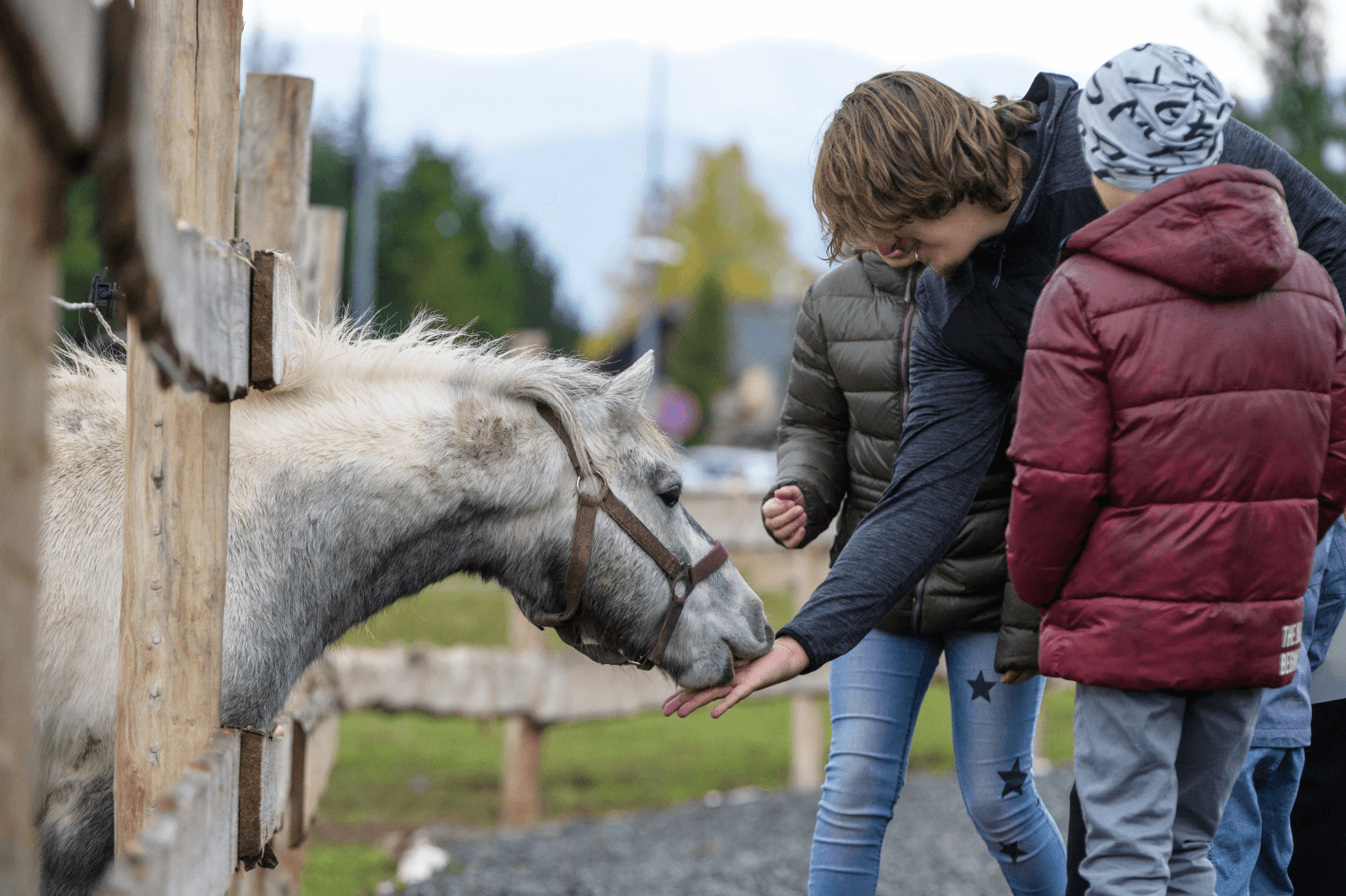 Hubertikovo Animal Farm